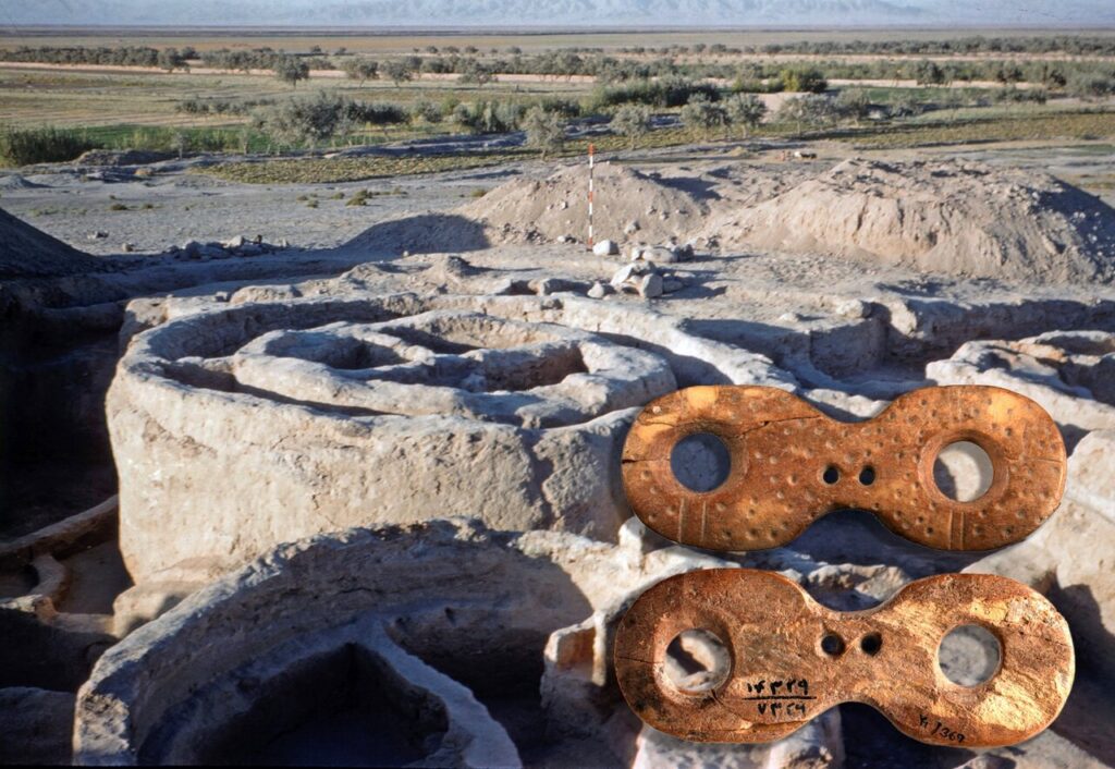 Echoes of the past: Unraveling the mysteries of Neolithic bones